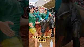 Pothys Swarna Mahal | Pongal Decoration #jallikattu #thai #pongal #decoration #ytshorts