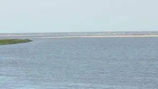 Hunting Island camper saw people on sandbar, but they weren't in distress