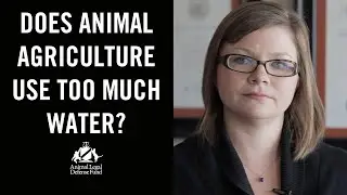 Animal Agriculture & Water in California? | 30 Second Animal Law