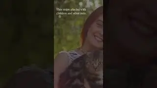 Highlander Cats Unique Companions #shorts t