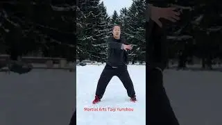 Taijiquan standing Yunshou drilling!#kungfu #martialarts #martialartist #taijiquan #taiji #wushu