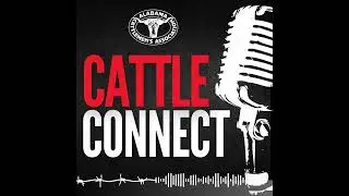 Cattle Connect S1 E13 | The Alabama Cattlemen&rsquo;s Foundation&rsquo;s Record Year for Scholarships