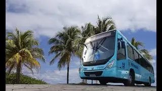 Viação Rocio de Paranaguá