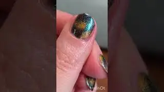 Козодой, Color flecks. ТГ - Наточены и Накрашены