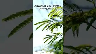 சிதறும் மனதை மீட்டெடு #tamil #quotes #quotesaboutlife #focus #innerpeace #gita #meditation