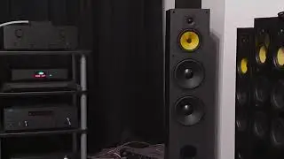 Davis Acoustics - Dhavani