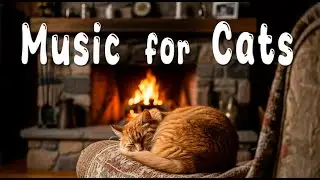 Sleeping Cat Music 😻 Calming Music for Cats, Sleep Pets, Relaxation