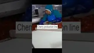 Cherry process line fruit process line
