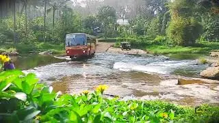 KSRTC Jungle Safari... From Kothamangalam to Munnar