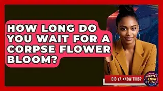 How Long Do You Wait For A Corpse Flower Bloom? - Did Ya Know This