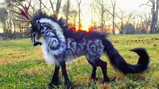 Rare Baby Animals You Will See For The First Time