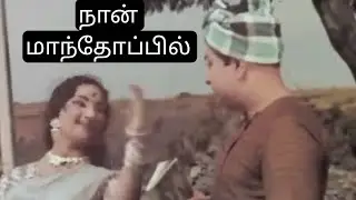 Naan Manthoppil/Enga Vettu pillai
