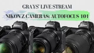 Grays' Live Stream: Autofocus 101 with Nikon Z System