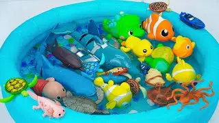 [toy asmr] ZURU Robo Alive Sea Animal & RC Fish Zuru Toys ASMR 바다 동물 장난감 | Satisfying With Unboxing