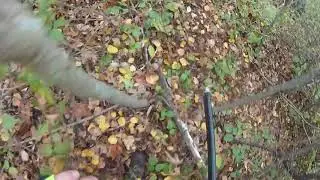 denine and kath southern wi woodcock hunt oct 2017