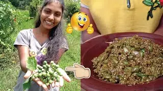 Delicious and healthy thibbatu Mellum by Village Girle/Sri Lankan (Wild Eggplant)Thibbatu Mellum