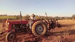 Agro &eacute; top