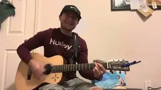 Sign Me Up Acoustic Cover Post Malone