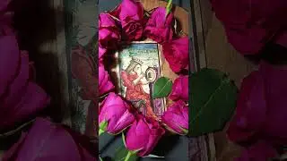 Sola Busca Tarot Сооа Буска Таро #марсельскоетаро #таро #обучениетаро