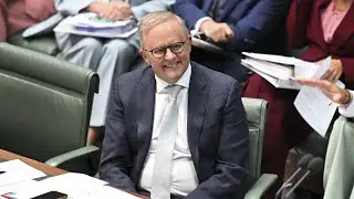 ‘Cocky’ Anthony Albanese scrutinised for ‘smug triumphalism’ in parliament