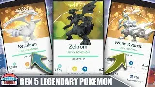 THE BEST OF THE GEN 5 LEGENDARIES! WILL THEY BEAT THE CURRENT TOP LEGENDARIES?! POK&Eacute;MON GO