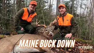 2024 Maine Rifle Season | Maine Buck On Bare Ground | Big Woods