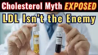 Oxidized Cholesterol vs LDL: Why Your Blood Test Might Be Lying to You