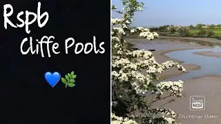 Rspb Cliffe Pools