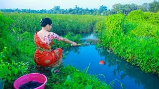 Fishing video || Beautiful girls new fishing techniques surprise everyone every day || Hook fishing