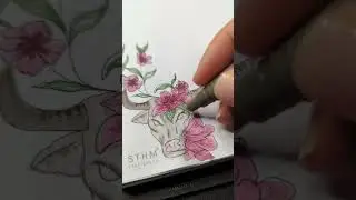 Bullet journal theme for May - Taurus - The bull #watercolorart #bujo #journal #watercolorpainting