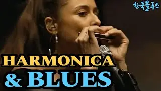 한국 블루스 - MUVI Single Series vol.2  Harmonica & BLUES  / ' Dawn Alley Blues'(새벽 골목 블루스)