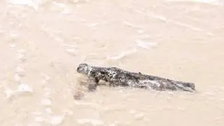 Mattituck, New York in 1080p