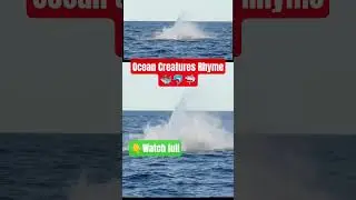Under the Oceans Rhyme 🐬🐳🐢🦀 #shortsfeed  #education #ocean #learning