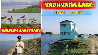 Vadhvana lake Dabhoi Vadodara wildlife sanctuary #vloger #dabhoi  #motovloger  @Mr_220_lover_only