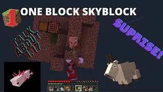 ONE BLOCK SKYBLOCK -- 1.17 Update and Surprise!
