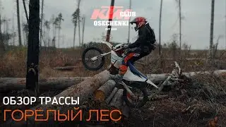 Прохождение трассы &laquo;Горелый лес&raquo;. Хард эндуро. КТМ клуб Осеченки.