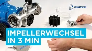 Impellerwechsel in 3 min | Schritt-f&uuml;r-Schritt-Anleitung | Tipps & Tricks | Blauteich