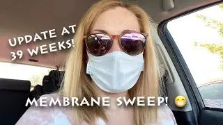 QUICK PREGNANCY UPDATE AT 39 WEEKS | DID THE MEMBRANE SWEEP WORK?