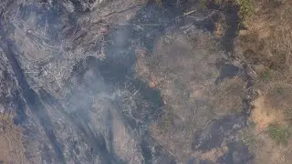 Parts of Brazil's Amazon rainforest charred and smoking after fire | AFP