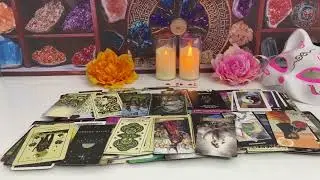 PISCES   - NEW PERSON WILL GIVE U EVERYTHING! U HAD BEG THE OLD ONE ! PISCES TAROT REAING