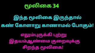 மூக்குறிஞ்சிப்பாலை | பாலைக்கொடி | leptadenia reticulata | அலசல் மூலிகை | Alasal herbal