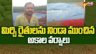 Mirchi Farmers Face Huge Loss Due To Heavy Rains | Telangana Rains @SakshiTV