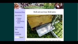 Easy Egg Retrieval With Roll Out Nest Box