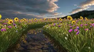 Wildflower Meadow Soundscape &mdash; Stress Relief Ambient Music (1 Hour)