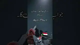 Israel Riyasat Nahi Hai | Haq Ki Awaz | Islamic Short | Free Palestine#viralvideo #islamicshorts