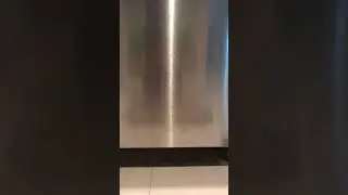 Frigidaire Dishwasher Leaking from Door