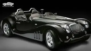 polish leopard   sport car