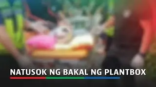 Senior citizen na kumukuha ng malunggay, natusok ng bakal ng plantbox | ABS-CBN News