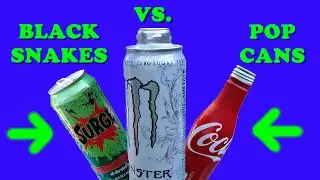 1000 Black snake fireworks VS. Aluminum cans (MASSIVE FIRE!)