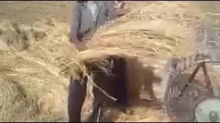 Dekh layo jatta da demag